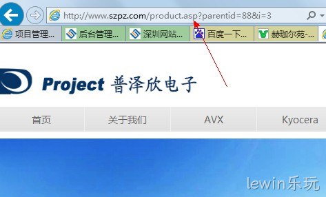 lewin乐玩